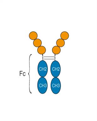 Experimental Validation Results for Efaprinermin alfa